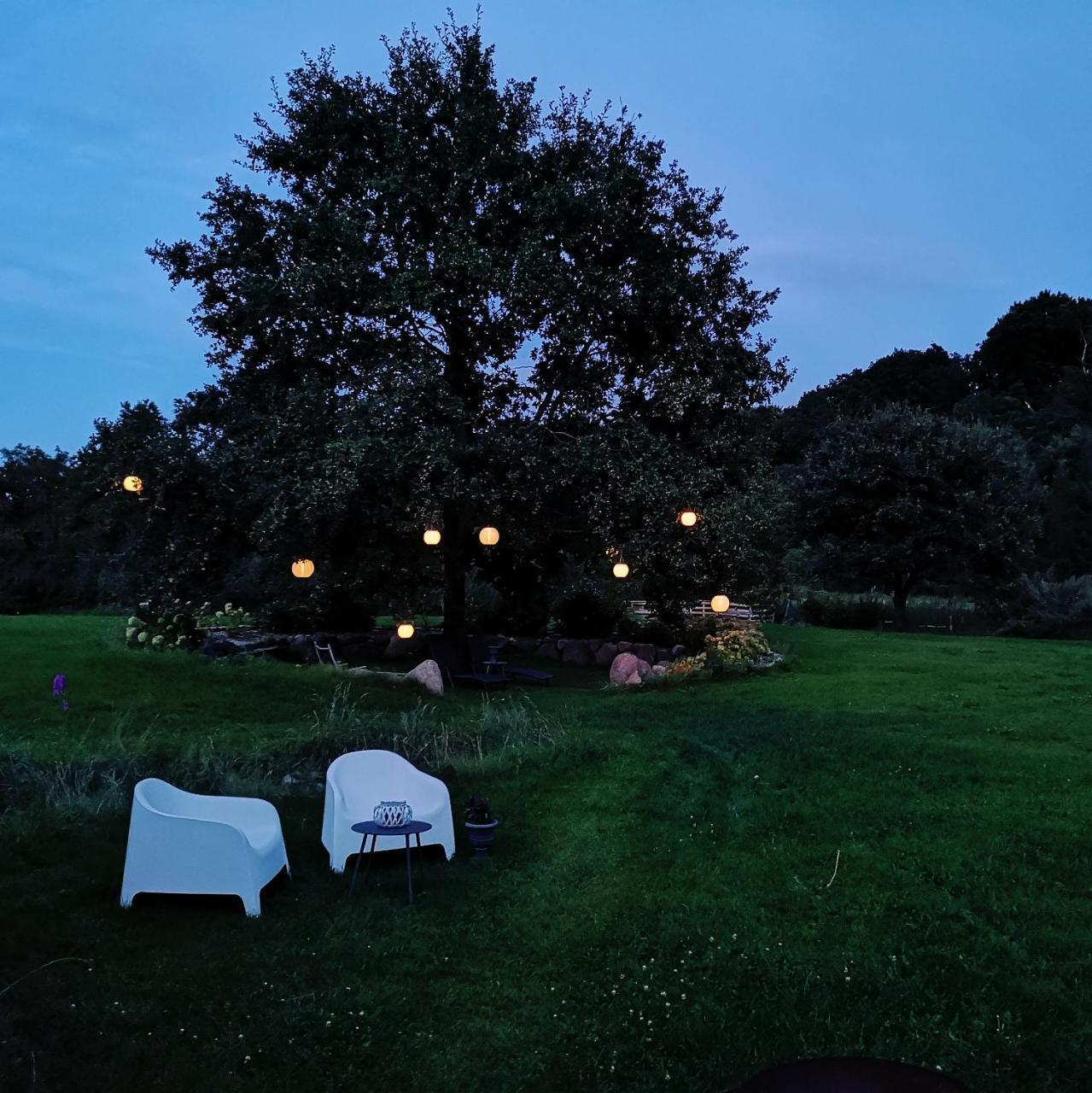 Kunst Pension Frahm Basthorst  Exteriér fotografie